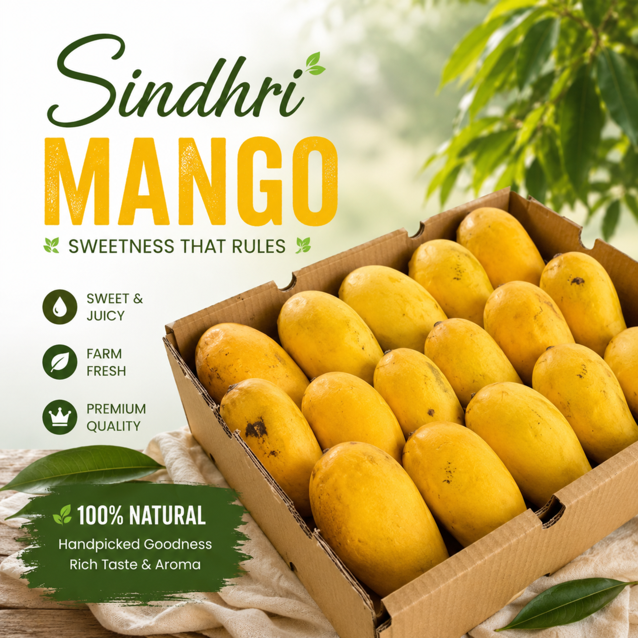 Farm Fresh Sindhri Mango Box – fresh Pakistani mangoes from Roz Taza