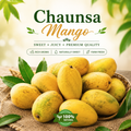 Premium Chaunsa Mango Box – fresh Pakistani mangoes from Roz Taza