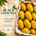 Premium Black Chaunsa Collection – fresh Pakistani mangoes from Roz Taza