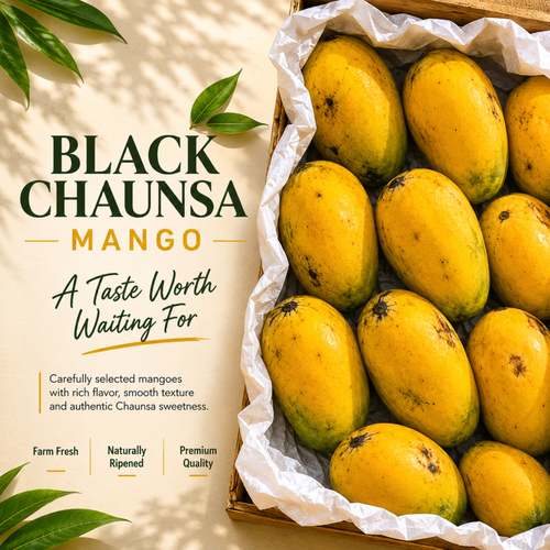 Premium Black Chaunsa Collection – fresh Pakistani mangoes from Roz Taza